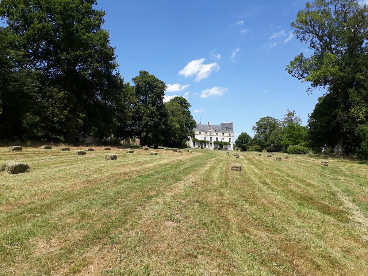 Chambres D'Hotes Chateau De La Puisaye Verneuil d'Avre et d'Iton Eksteriør billede